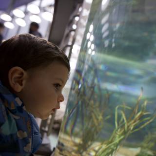 Mesmerized at the Academy: Wesley's Aquatic Adventure