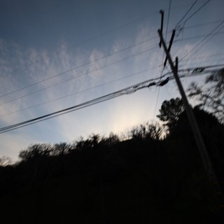 Blurred Dusk Scene with Power Lines and Trees