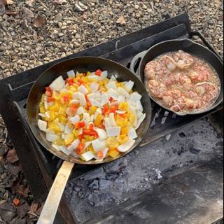 Campfire Cooking Adventure