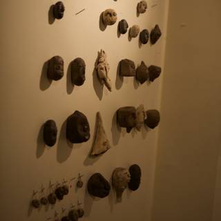 Eclectic Wall of Archaeological Finds