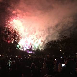 Magical Fireworks Display at Disneyland