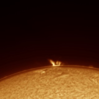 Solar Surge Prominence Erupting from Sun's Limb