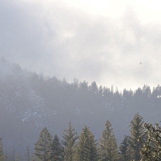 Misty Mountain Forest in Winter Atmosphere