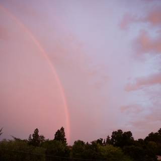 A Rainbow's Embrace