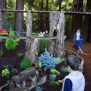 Pacific Northwest forest park or botanical garden