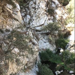 Rocky Canyon Stream Adventure