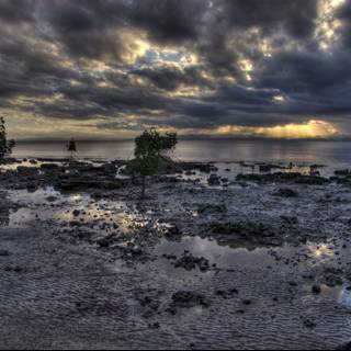 Moody Skies over Fiji's Coastal Landscape