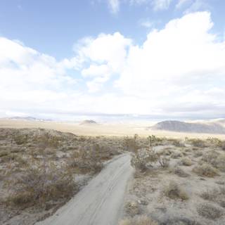 Scenic  Road in the Joshua Tree Desert
