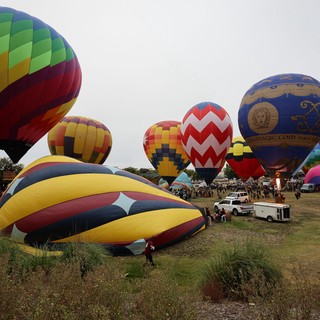 Colorful Hot Air Balloons Rising at Sonoma Classic