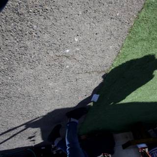Shadows of Team Spirit