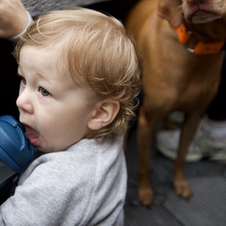 Young Child Getting First Haircut with Dog Companion