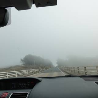 Through the Mist