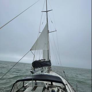 Smooth Sailing in Richardson Bay