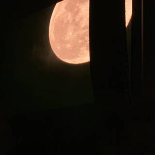 Pink Moon Over Indio