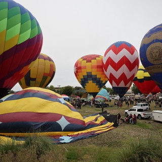Colorful Hot Air Balloons Fill the Sky at Festival