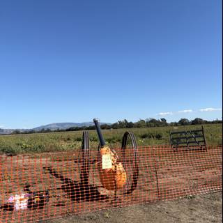 Pumpkin Cannon in the Countryside