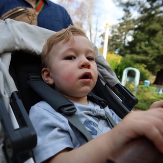 Young Child in Stroller at Outdoor Park Setting