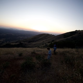 contemplative-adventurous-serene-nostalgic