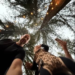 Under the Canopy of Stars