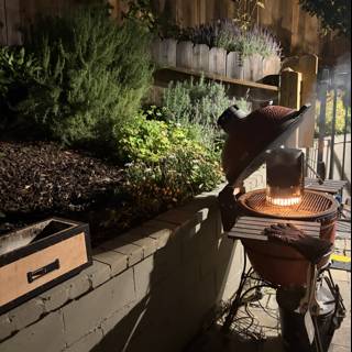 Evening Glow in the Backyard