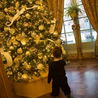 Enchanted By Holiday Lights