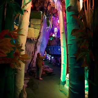 Illuminated Forest Pathway in Immersive Art Installation