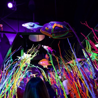 Vibrant Neon Underwater Fantasy Installation with Interactive Art