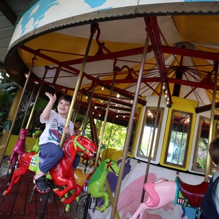 Young Boy Riding Red Dinosaur on Carousel