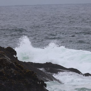 Wild Waves Crashing Against Rugged Coastal Rocks