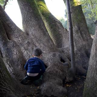 Nature's Embrace