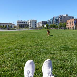 Walking on a Grassy Field