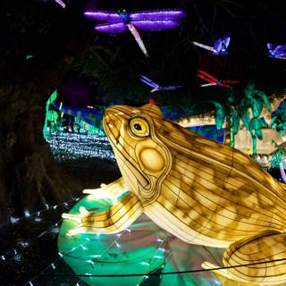 The Luminous Amphibian of the Oakland Zoo