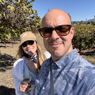 Sunlit Stroll Through Napa's Vineyards