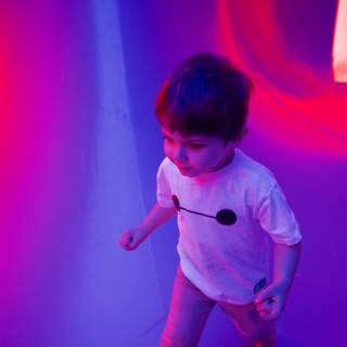 Exploring the Lights