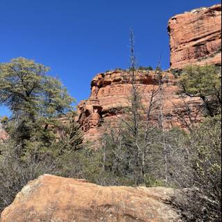 Majestic Red Rocks of Coconino National Forest