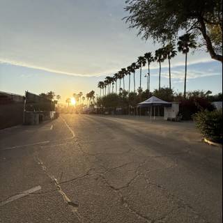 Golden Hour at the Empire Polo Club
