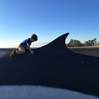 Child Riding Giant Whale Sculpture at Dusk