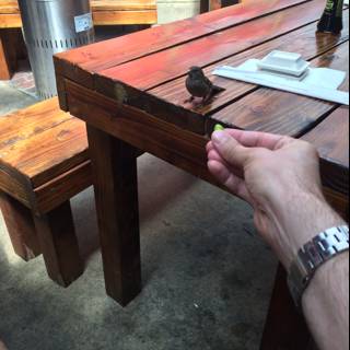 Holding a Sparrow on a Wooden Table