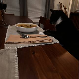 The Sophistication of a Cat and a Bowl of Soup