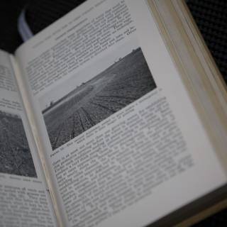 A Visual Journey through the Pages of a Book