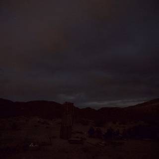 Desert Moonlit Night