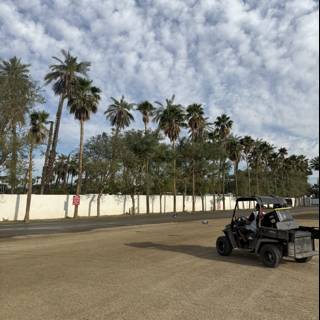 A Serene Afternoon at Empire Polo Club