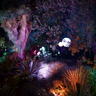Enchanted Night in the Garden