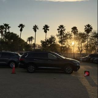 Evening Serenity in the Parking Lot