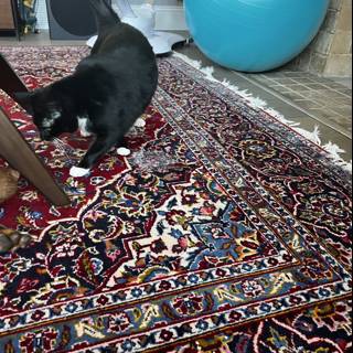 Feline Floor Art