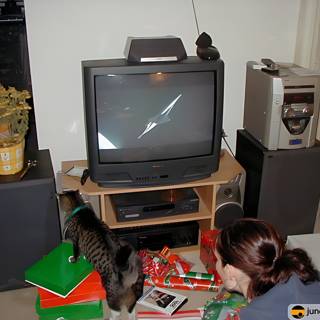 The Christmas Cat Watch Party