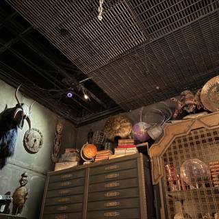 Mystical Curiosities