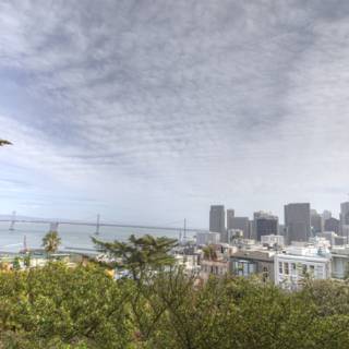 Panoramic View of San Francisco from the Top of a Hill