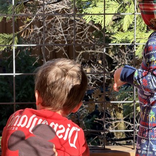 Children in Holiday Pajamas Gazing Through Metal Fence