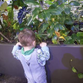 The Little Botanist